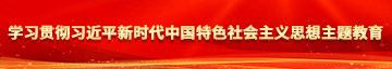 香港黄片肏屄片学习贯彻习近平新时代中国特色社会主义思想主题教育